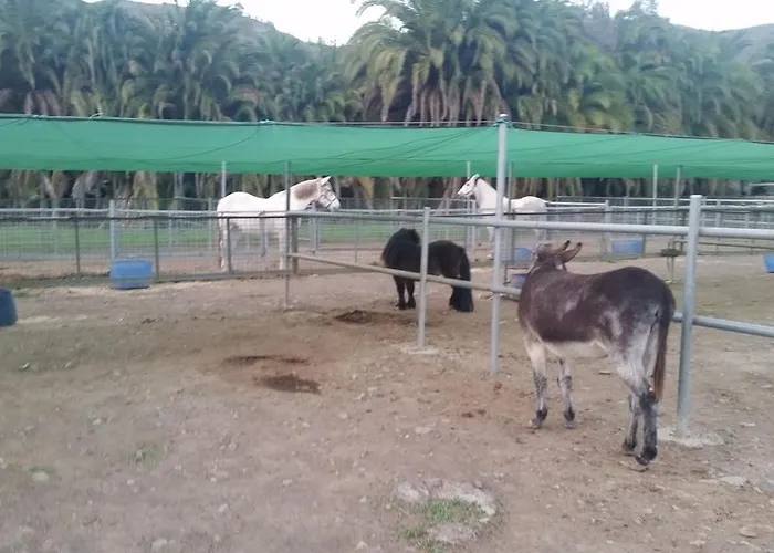 Finca El Molino De Agua