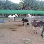 Finca El Molino De Agua