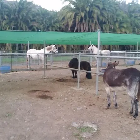 Finca El Molino De Agua